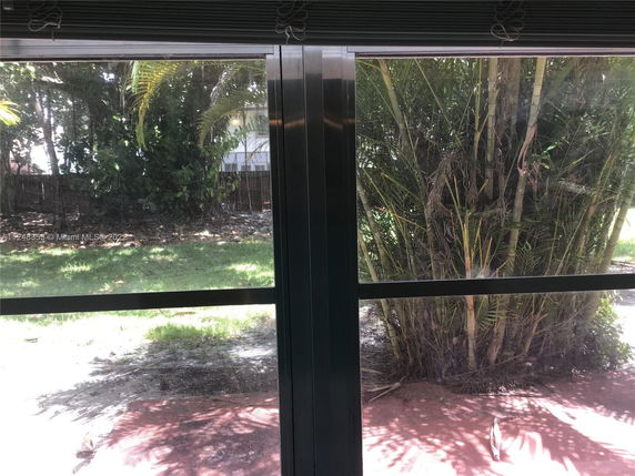 View of surrounding garden area through a window.