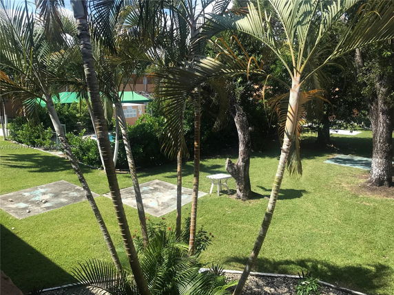 View of a garden area with palm trees and grass.
