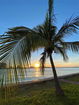 miamire/f8918bcd2ebbb154f93550fb8b9151dc.jpg?width=131&height=105&format3=webp