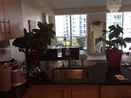 miamire/f96eae4ce76ba425aade278520b8e06b.jpg?width=131&height=105&format3=webp