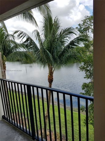 View from a balcony overlooking palm trees and a water body.