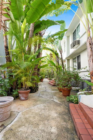 Pathway surrounded by lush greenery and adjacent building.
