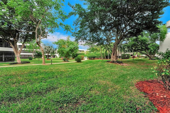 Surrounding area with grassy lawn and trees near a building.