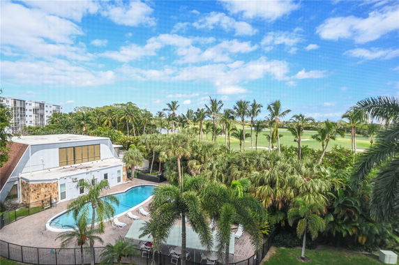 Outdoor swimming pool area surrounded by palm trees and greenery.