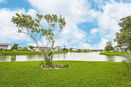 miamire/faf47a8ca4eedeafcf2b09562363ef5b.jpg?width=131&height=105&format3=webp