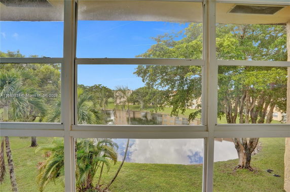 View through a window showing trees and a pond outside.