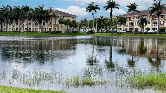 View of buildings with a reflection in a pond surrounded by palm trees.