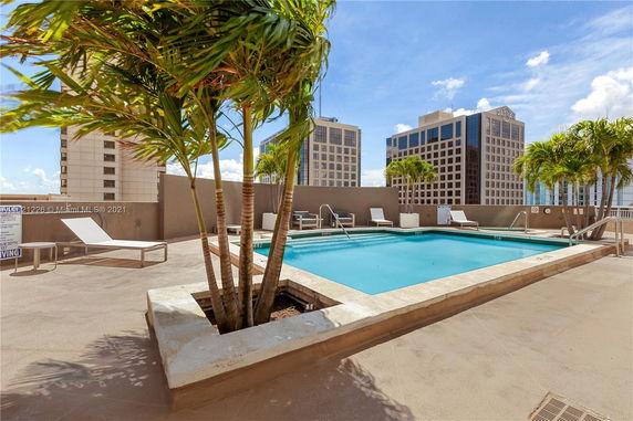 Rooftop swimming pool with lounge chairs and potted palm trees overlooking city buildings.