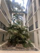 miamire/fead7986e96803d6c8c3cfca1651ec5e.jpg?width=131&height=105&format3=webp