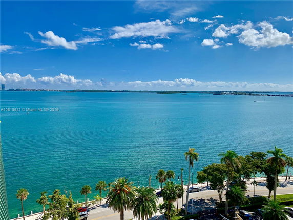 View of a large body of water with distant land and trees, as seen from a high vantage point.