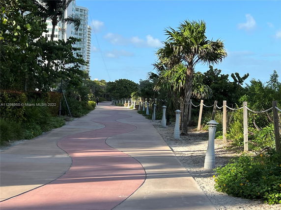 Pathway lined with palm trees and vegetation near a tall building.