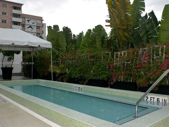 Small outdoor swimming pool with surrounding plants and a canopy.