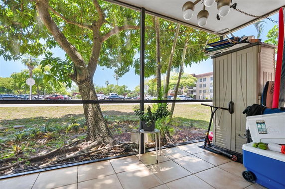 View of outdoor area with trees, seen through a screen from inside a building.