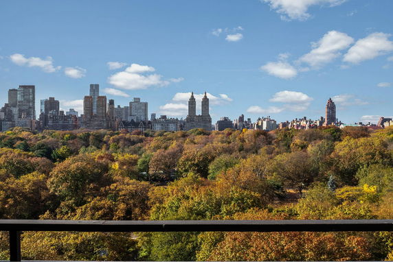 Panoramic view from a building overlooking a park with city skyline in the background.