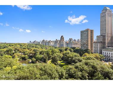 View of city buildings and park landscape from an elevated position.