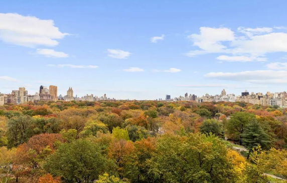 Panoramic view of a city skyline with trees in the foreground.