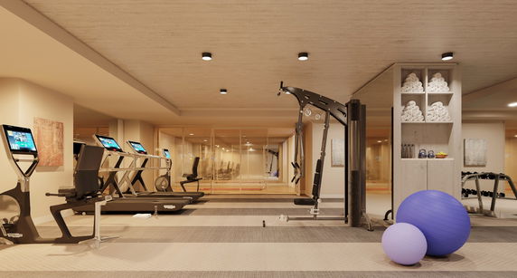 Interior of a gym area with exercise equipment and yoga balls.