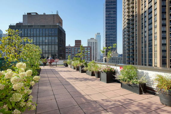 Rooftop garden with potted plants and views of surrounding tall buildings.