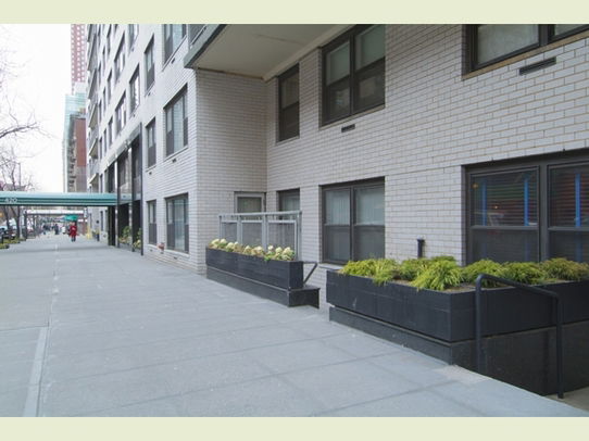 Building Images