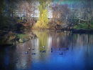 nyrebny2/0f597a085d081fabd3cba5660f4c03fc.jpg?width=131&height=105&format3=webp