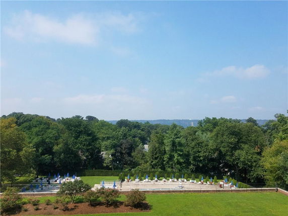 Panoramic view of a large outdoor swimming pool surrounded by trees.