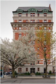 Building image
