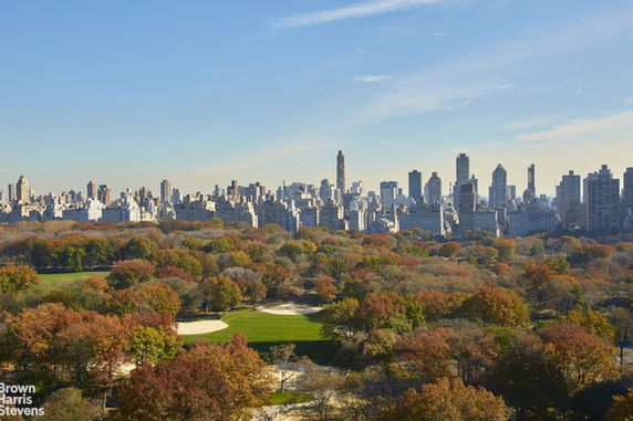 Skyline view of a city with skyscrapers and a large park with autumn foliage in the foreground.