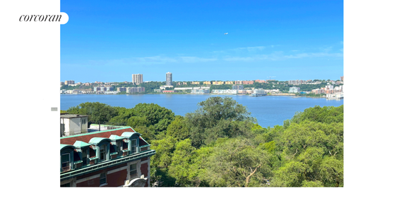 Scenic view of a river with city buildings in the background and trees in the foreground.