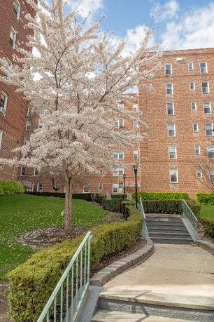 Rear view of a multi-story brick apartment building with surrounding greenery and a blooming tree.