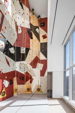 Indoor climbing wall with colorful holds and ropes in a modern facility.