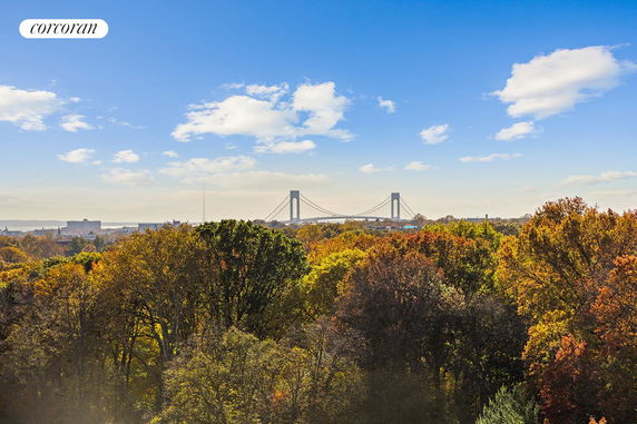Panoramic view of a bridge and forested area with autumn foliage.