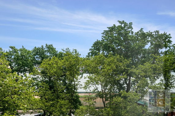 View from a building showing trees and a river in the background.