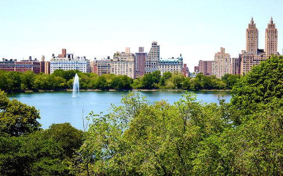 View of buildings across a large body of water with a fountain, surrounded by trees.