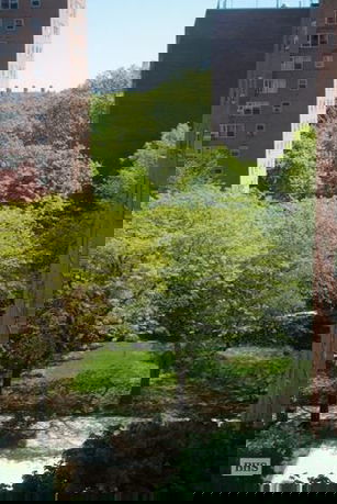 Building Images