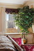 nyrebny2/57c6d52ccf1f7cda5a658f882abea2d6.jpg?width=131&height=105&format3=webp