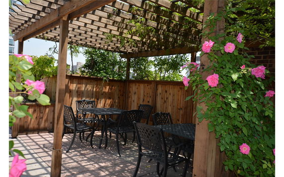 Rooftop area with wooden pergola, climbing roses, and patio furniture.