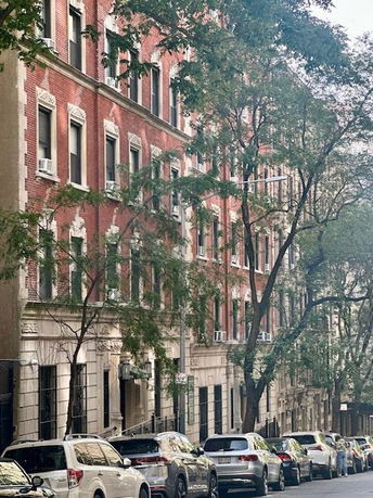 Front view of a row of multi-story brick apartment buildings with trees along the sidewalk.
