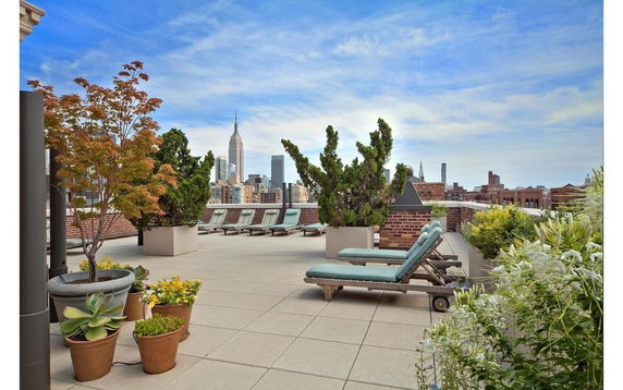 Rooftop terrace with lounge chairs and potted plants, overlooking a city skyline.