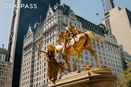 nyrebny2/79f00e86d5dc0d7e8b95567af0729c3e.jpg?width=131&height=105&format3=webp