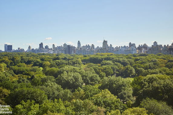 Panoramic view of a city skyline with a park in the foreground.