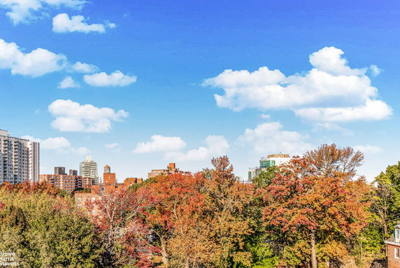 Panoramic view of city skyline with high-rise buildings and autumn trees.