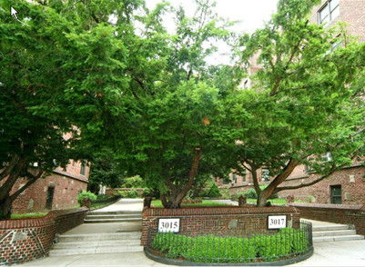 Front view of a multi-story brick building with trees and a pathway.