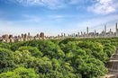 nyrebny2/8c334cd903060dc691fddf69a4756cc3.jpg?width=131&height=105&format3=webp