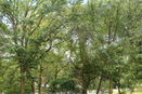 nyrebny2/910b29c45f2cc827b2355db78e427c2f.jpg?width=131&height=105&format3=webp