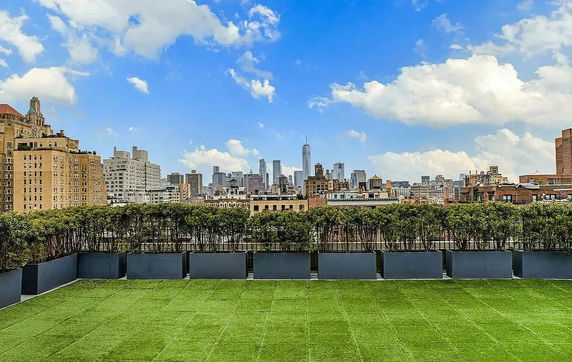 Rooftop with greenery and a distant city skyline.