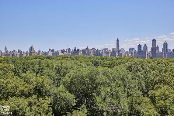 Panoramic view of a city skyline with tall buildings seen beyond a vast area of green trees.