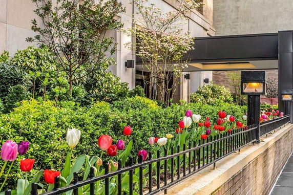 Front view of a building entrance with a garden and colorful flowers.