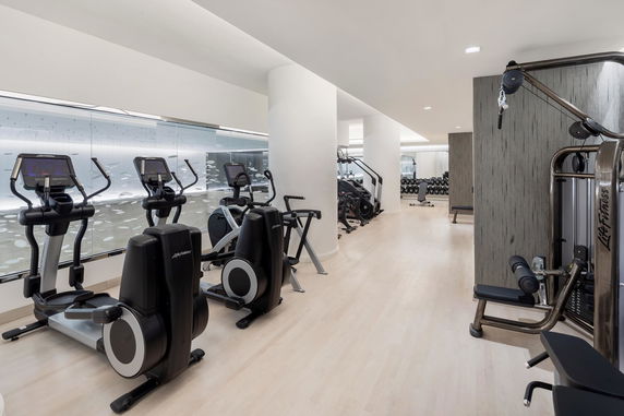 Interior view of a modern gym with exercise equipment.