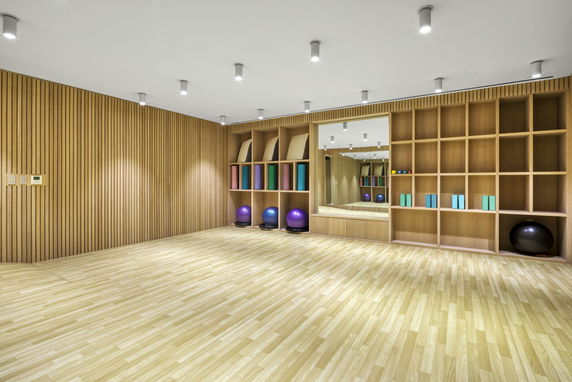 Room equipped with fitness accessories and shelving for exercise equipment.
