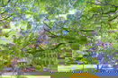 nyrebny2/c193505e908f8ba0934e514c99d141db.jpg?width=131&height=105&format3=webp